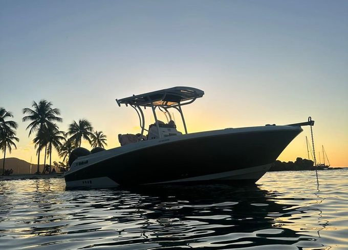 wellcraft fisherman 242