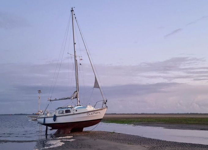 westerly centaur
