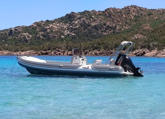 mv marine 770 fashion
