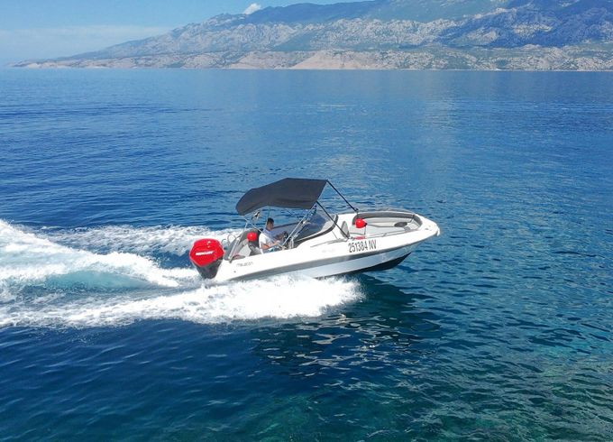 galia 520 open