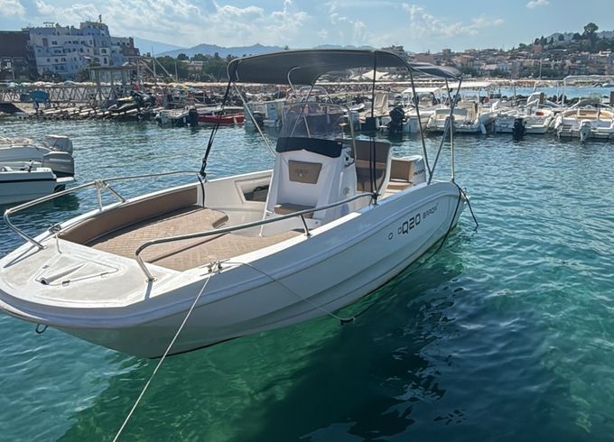 allegra barqa q20