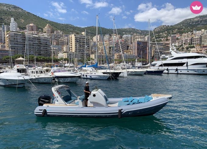 italboats stingher 800 gt