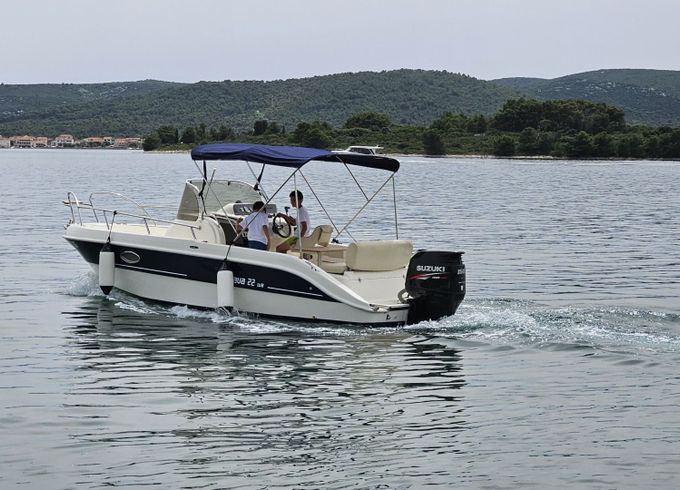 mingolla brava 22 wa