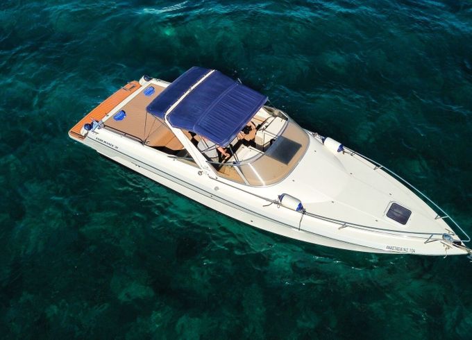 cranchi endurance 31
