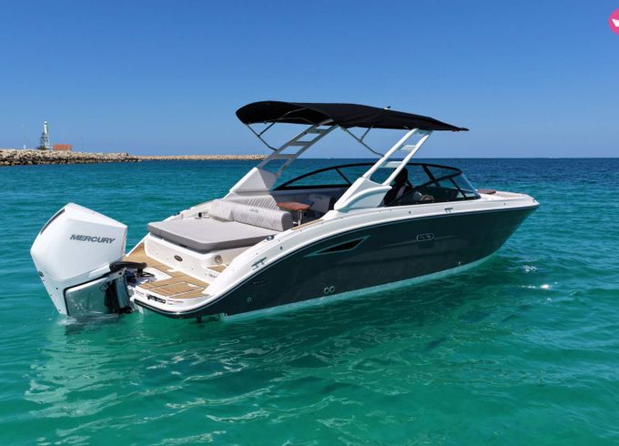 sea ray 250 sdx