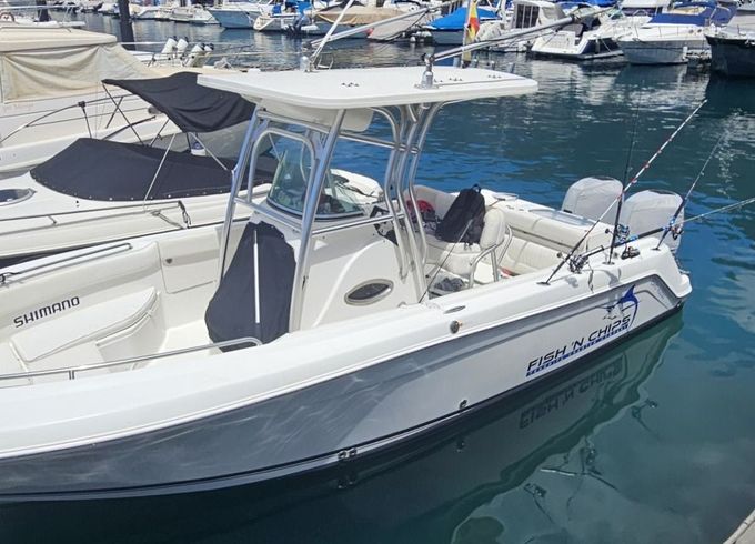 robalo r 260 cc