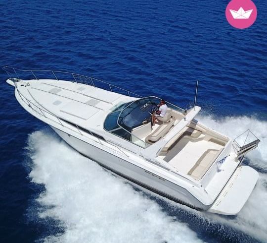 sea ray 450 sundancer