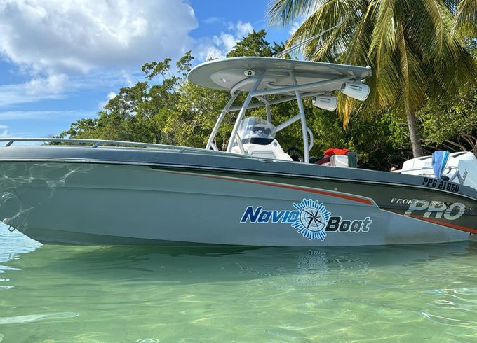pronautica 790 slam
