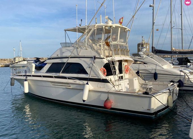bertram bertram 50 ft sport fisherman