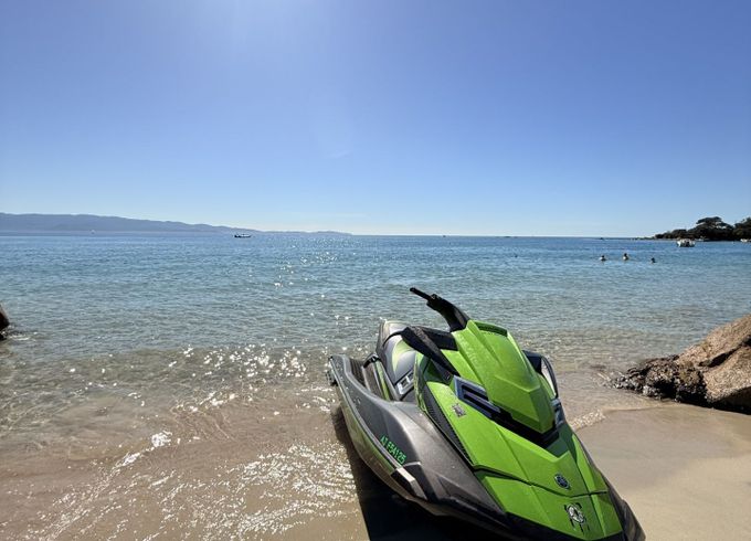 yamaha sv ho