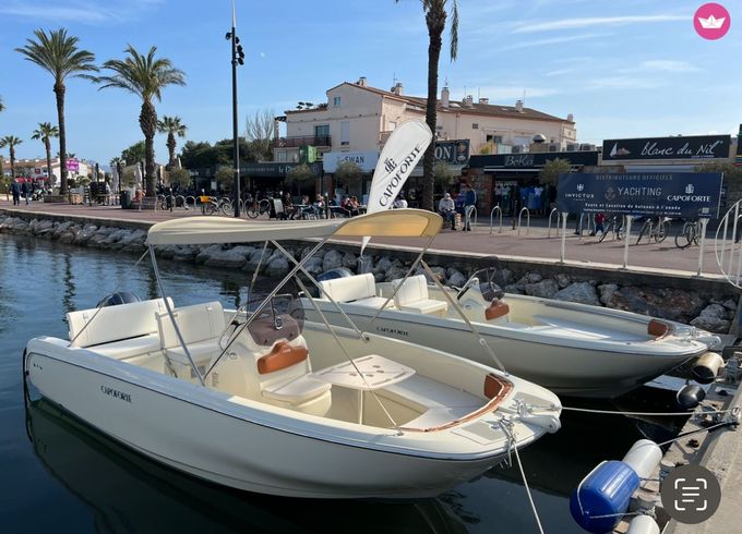 invictus capoforte 190 fx
