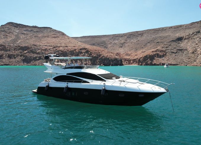 sunseeker 75 manhattan