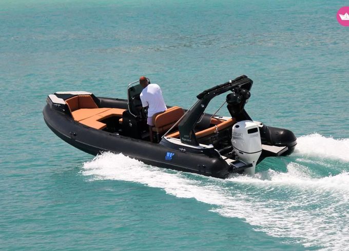 tiger marine topline 650