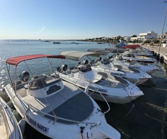 albatros new 5.85
