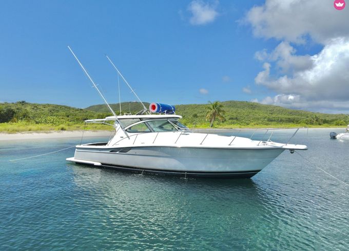 tiara 3800 open