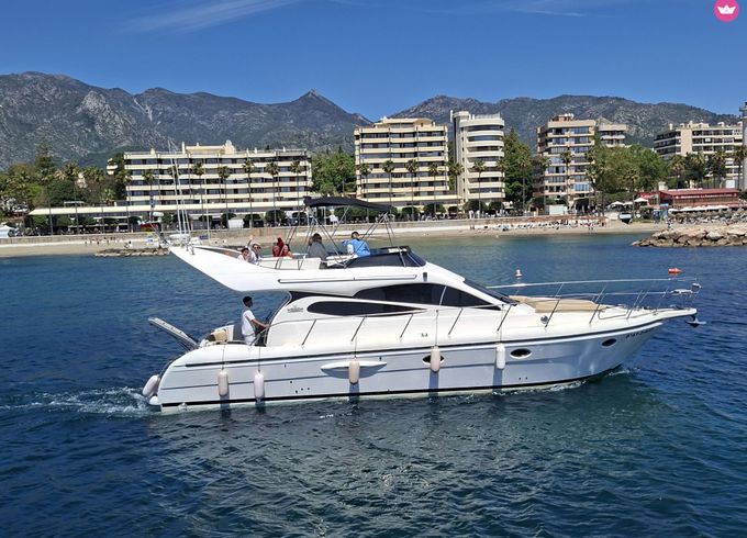 majestic 46 exclusivo