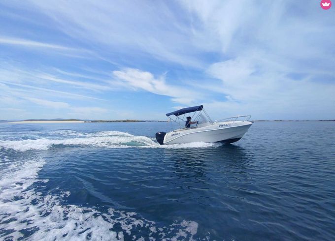 quicksilver 525 flamingo