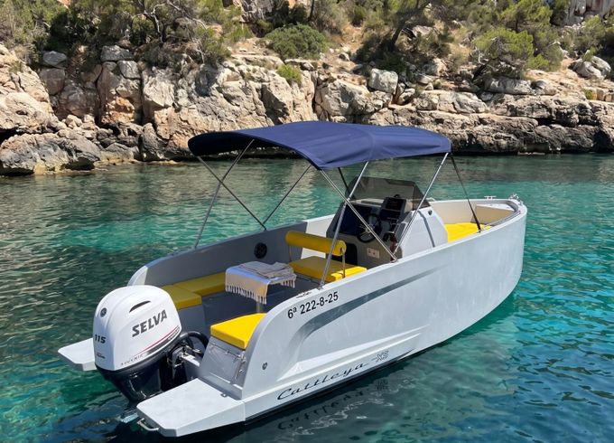 mask boats cattleya x6 open