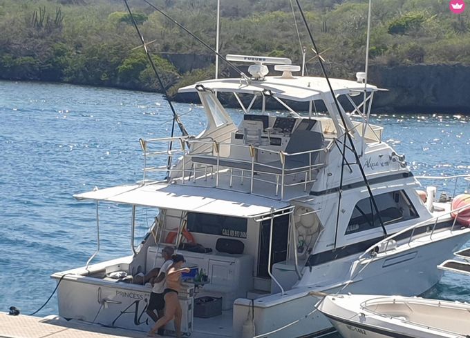 classic bertram yachts 50