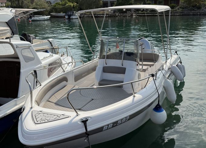 sea star sport star license needed
