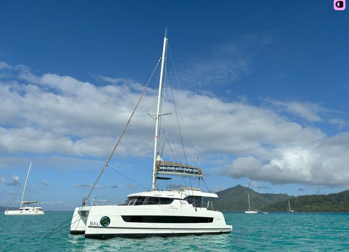 catana group bali catspace