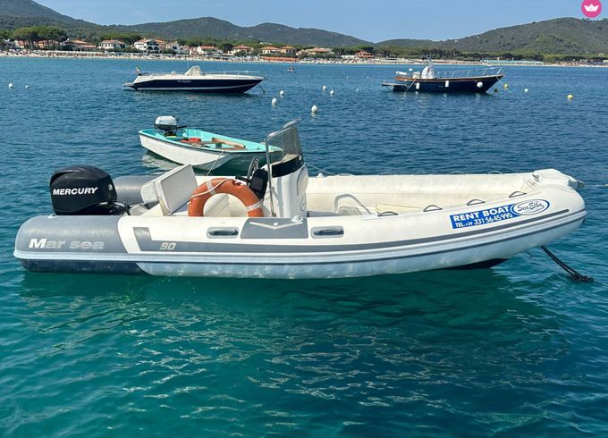 marsea sp80