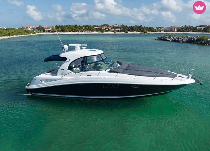 sea ray 40