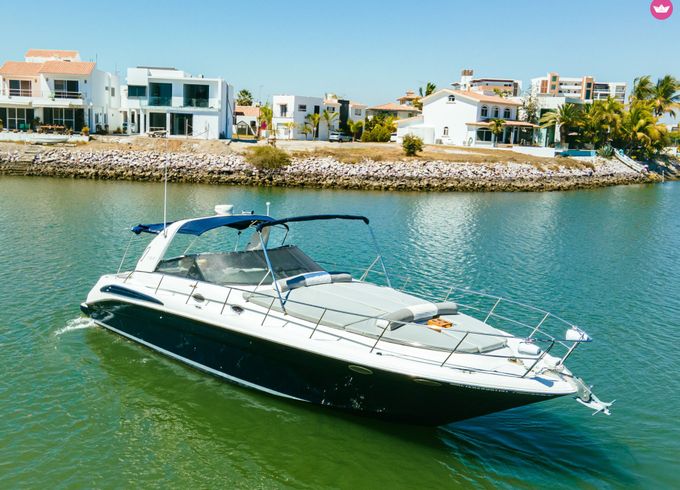 sea ray 420