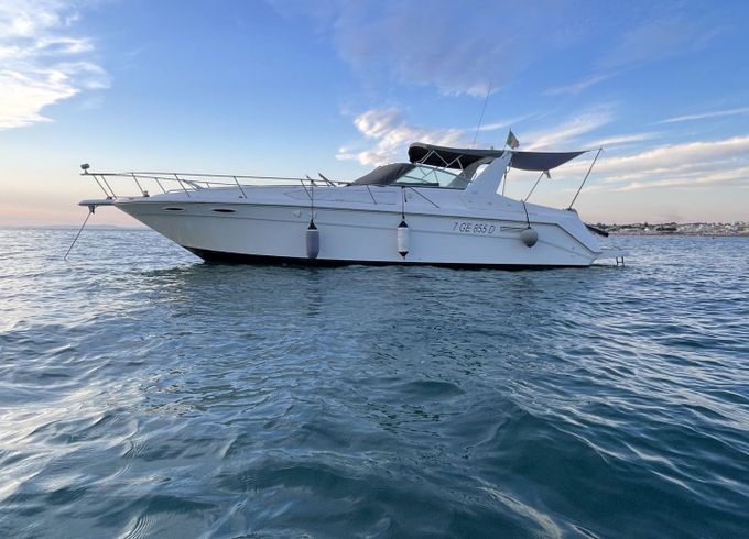 sea ray 350 da