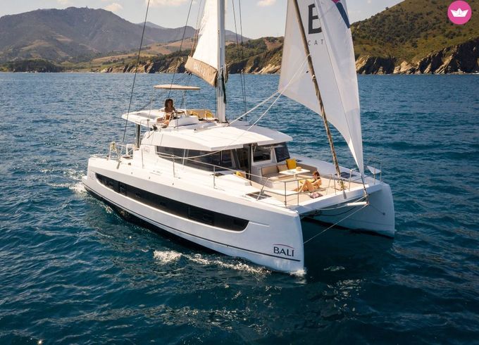 bali 4.2 cat