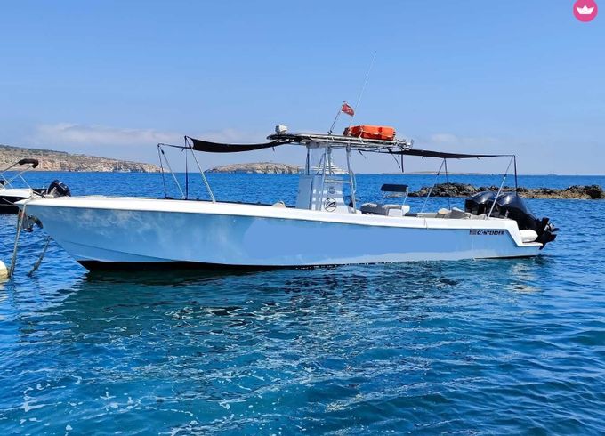 contender 31open