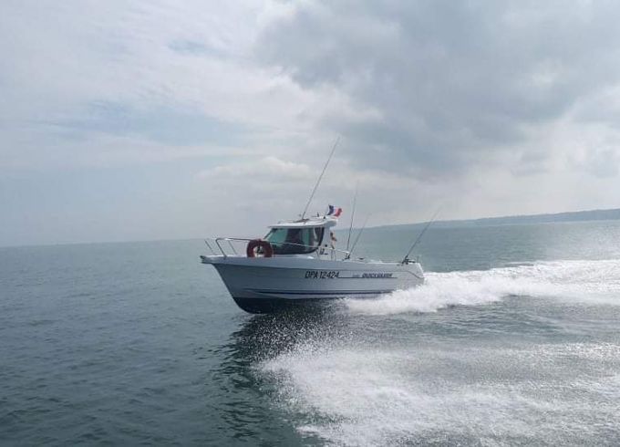 quicksilver 620 timonier