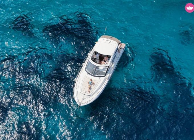 jeannau leader 36