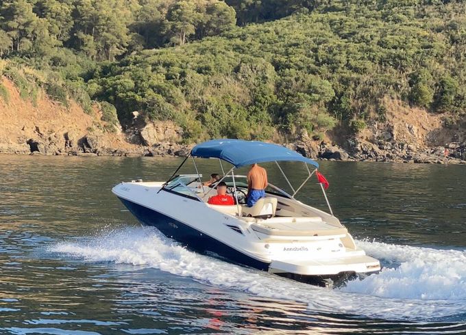 sea ray sundeck 240
