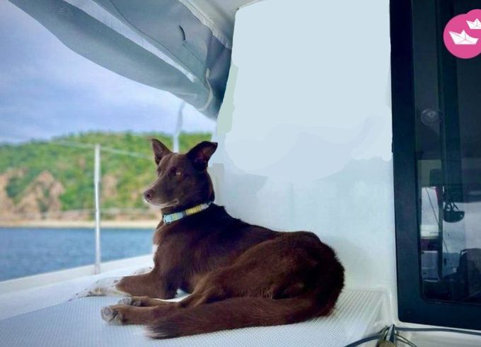 fountaine pajot lucia
