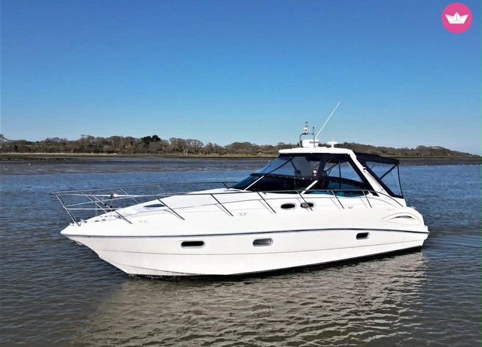 sealine s 38