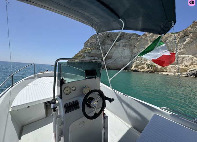 evinrude e40dpl