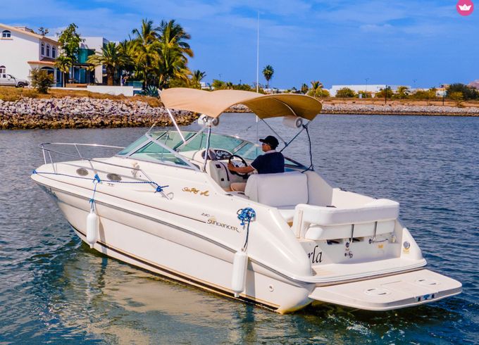 sea ray 240 sundancer