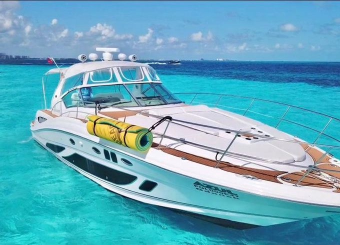 sea ray 2010
