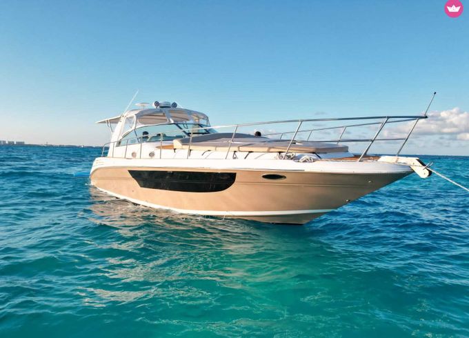 sea ray express
