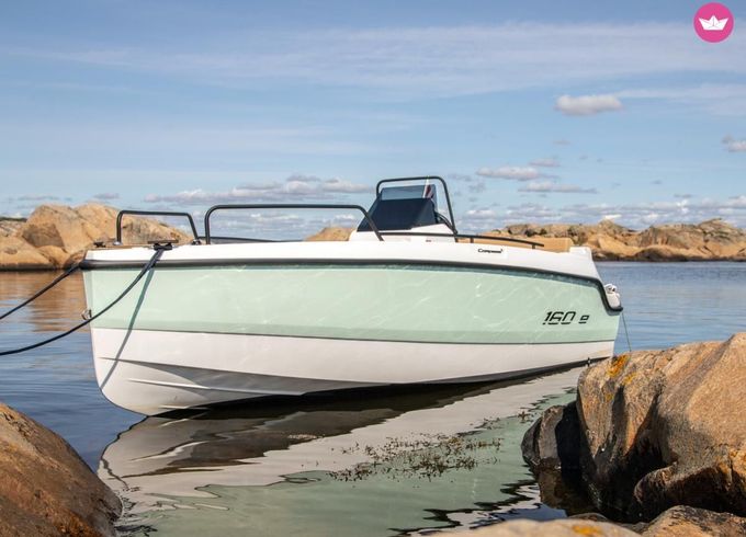 yamaha compass 160e
