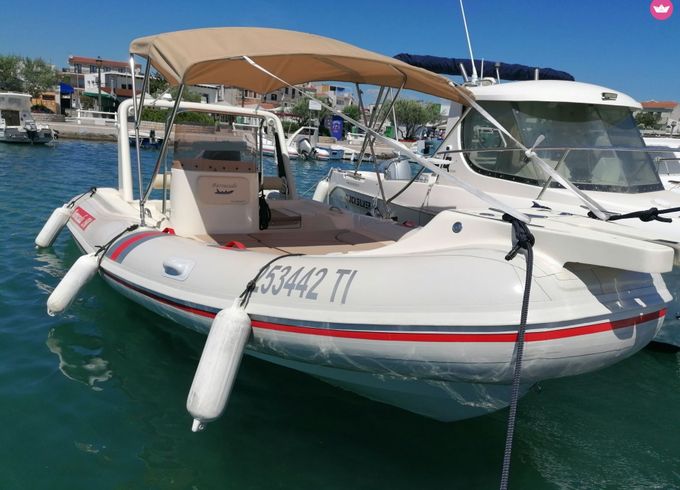 baraccuda 590
