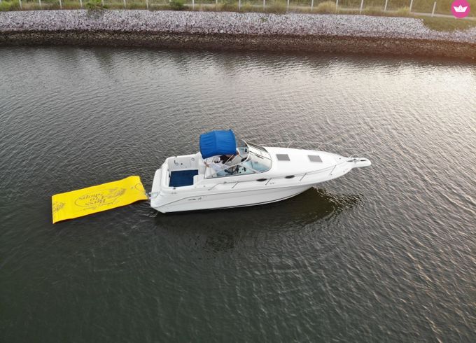 sea ray 270