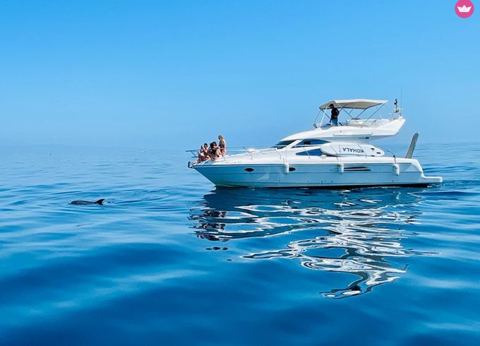 astondoa fly 40