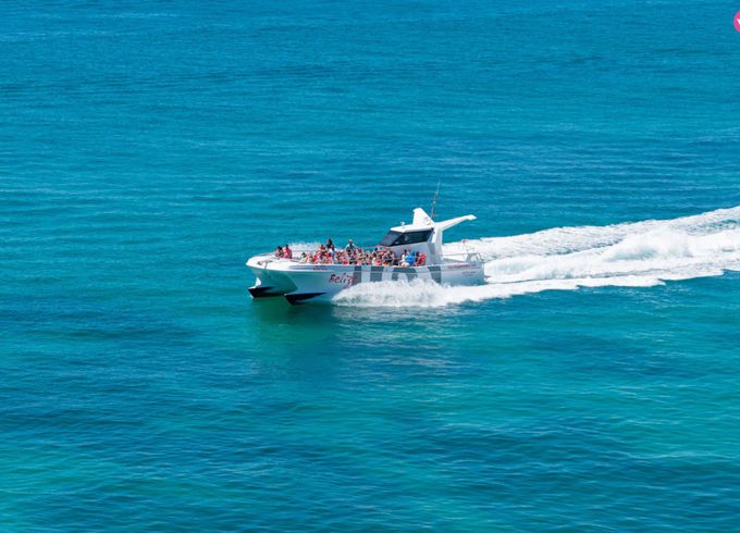 catamaran custom