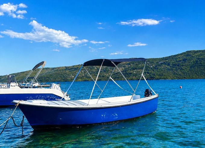 vodice 485 pasara