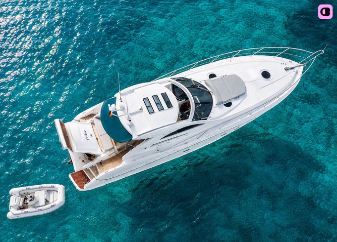 sunseeker portofino 53