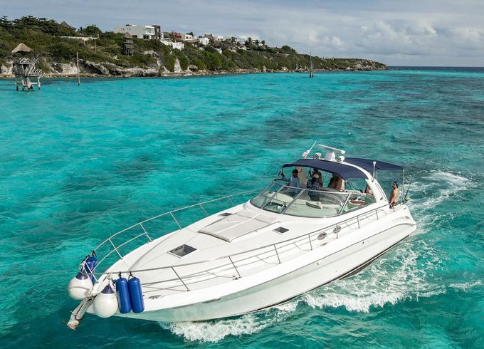 sea ray sundancer