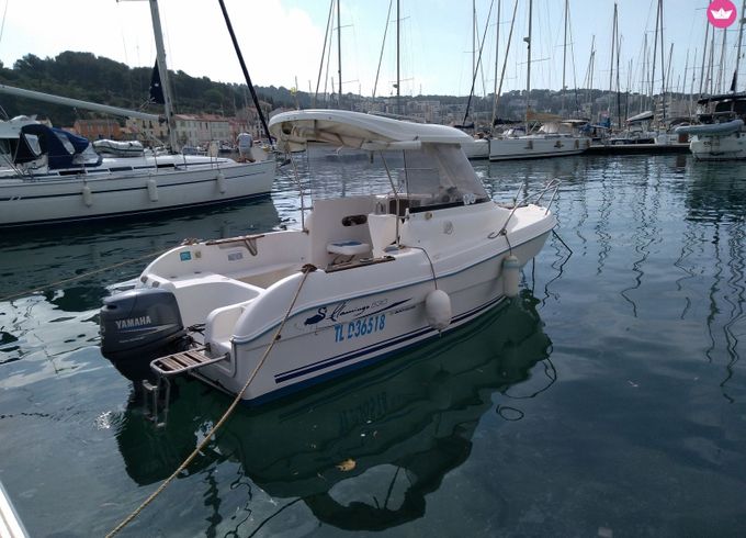 quicksilver 530 flamingo