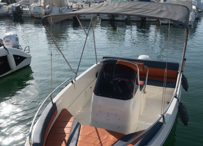octopus 47 cc